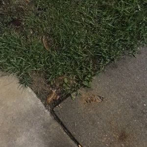 Meet your Posher, Jose